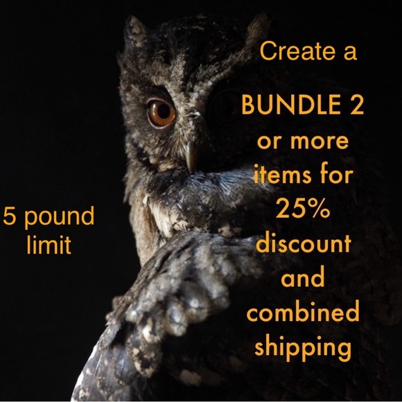 1990 Jay Kay Ceramic Mold Saguaro Cactus Salt and Pepper Set GIFT - Picture 9 of 11